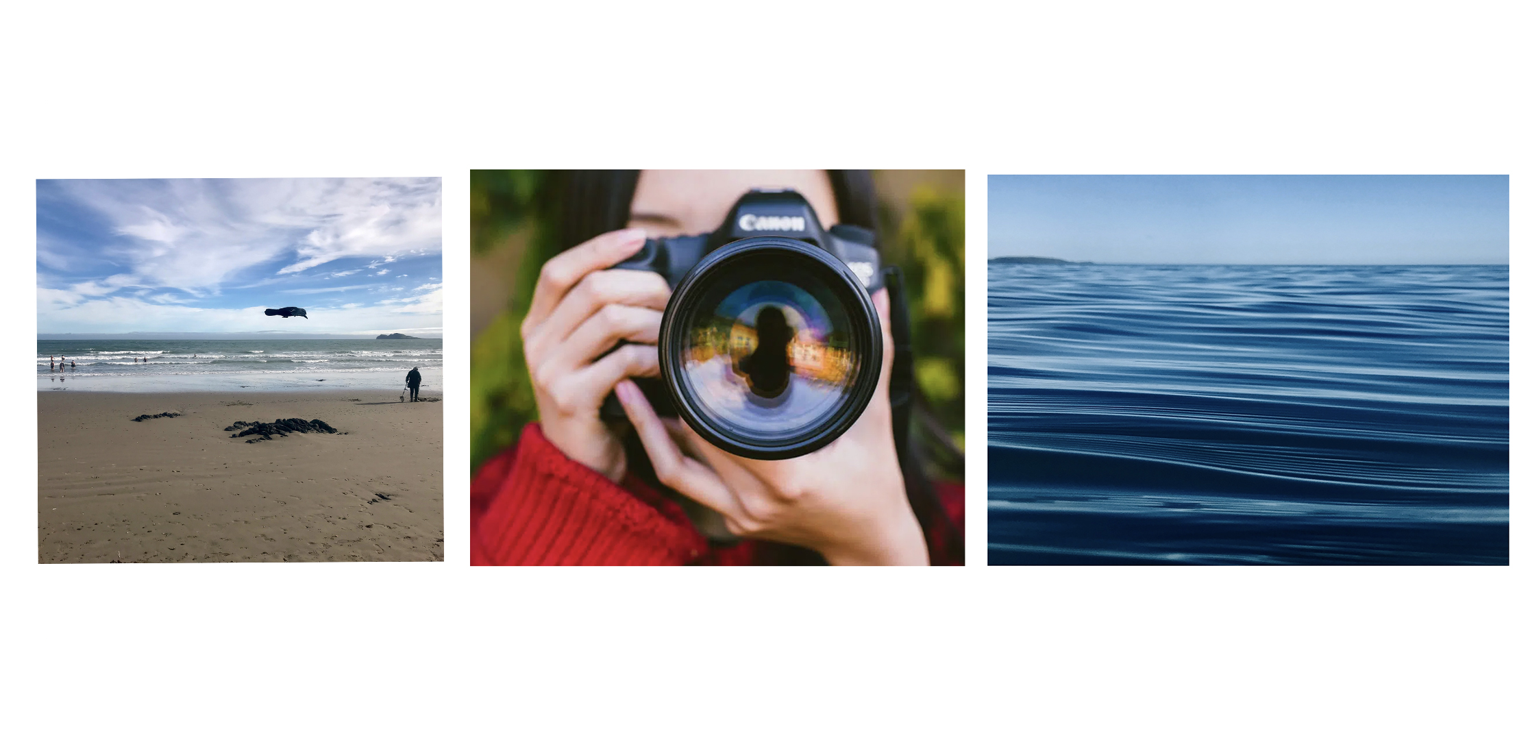 Course Image Digital Photography & Visual Media [PCDPV-DPVM/Dub/PT/CT002]