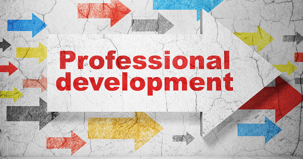 Course Image Professional Development [BABSH-PD/Cork/FT]