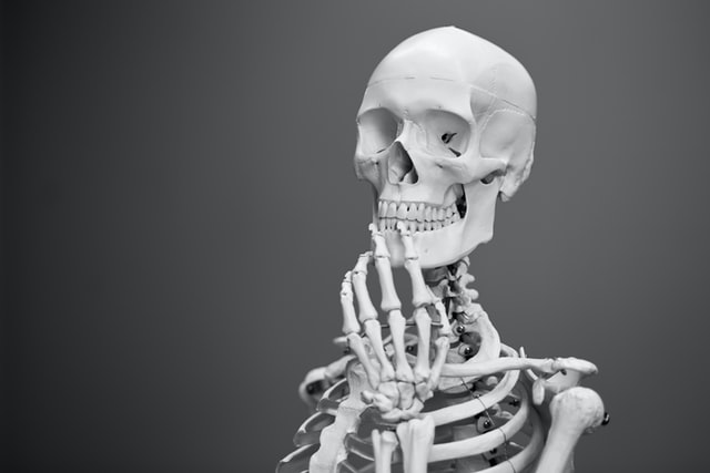 Course Image Understanding the Body (Part 1) [HCHSP-UB1/Dub/BL/CT001]