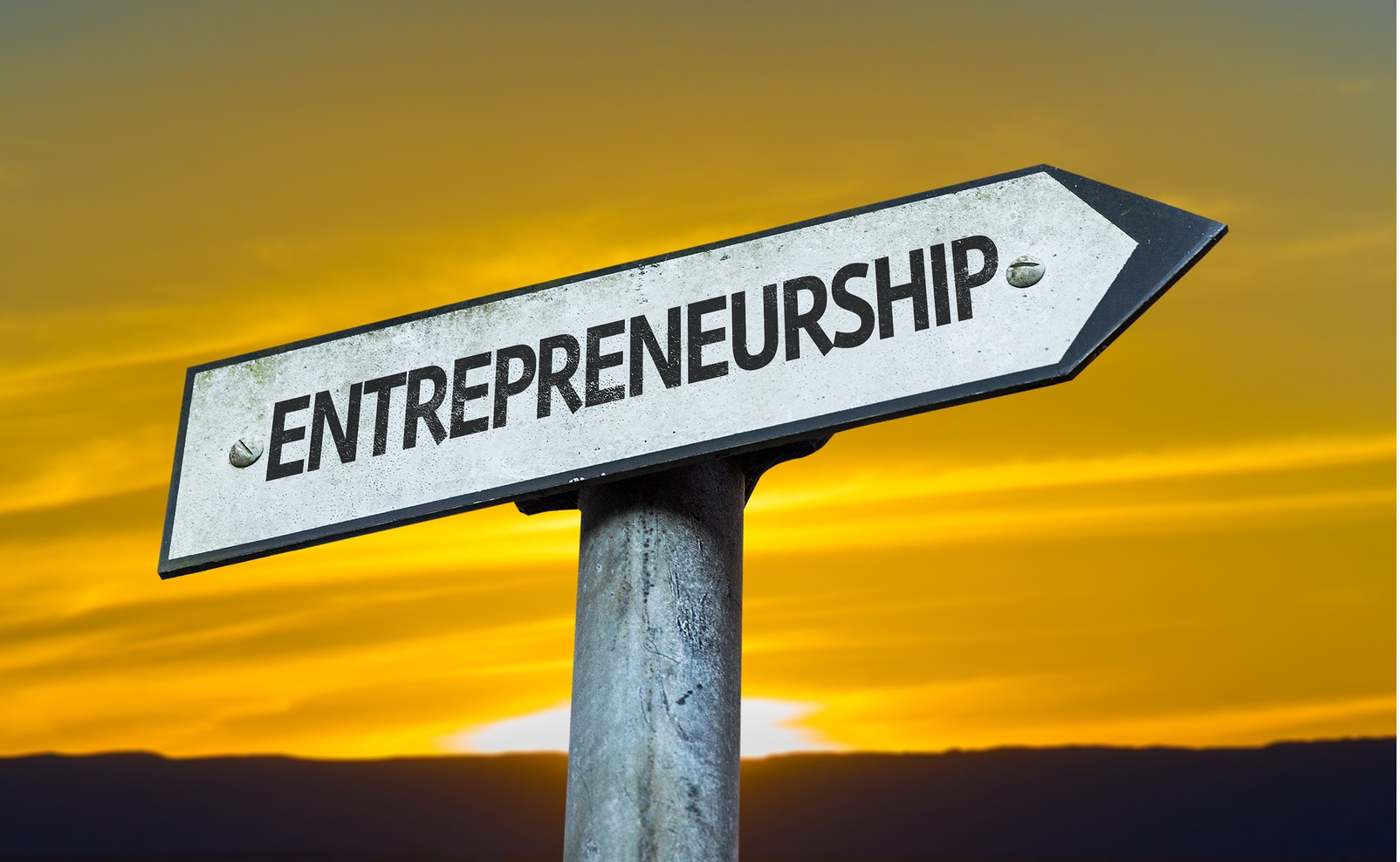 Course Image Introduction to Entrepreneurship [BABH-IE/Dub/FT]