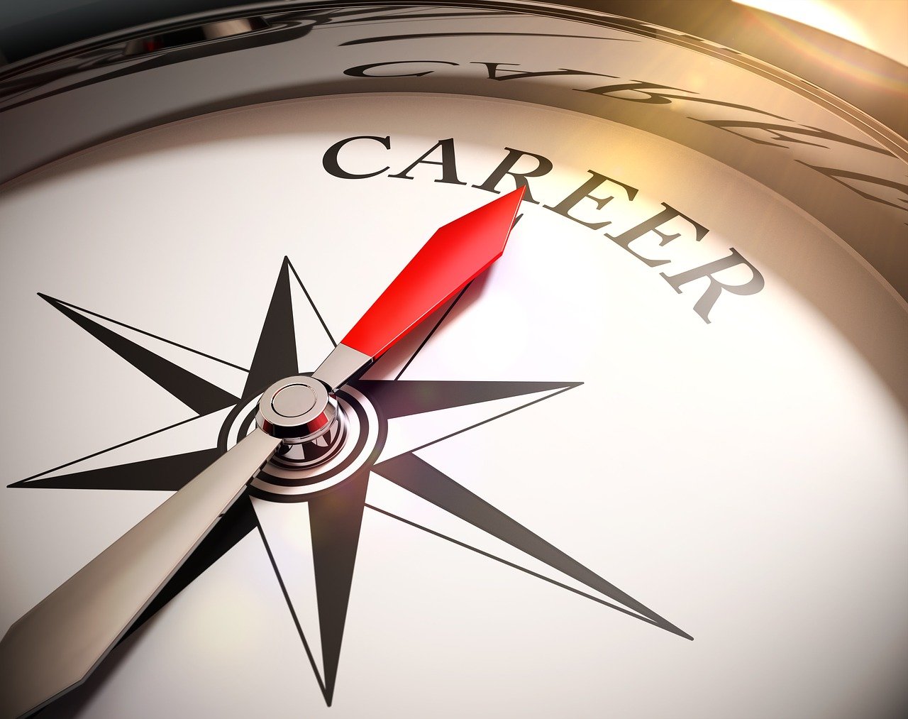 Course Image Personal and Professional Development [BABH-PPD/Lim/FT]