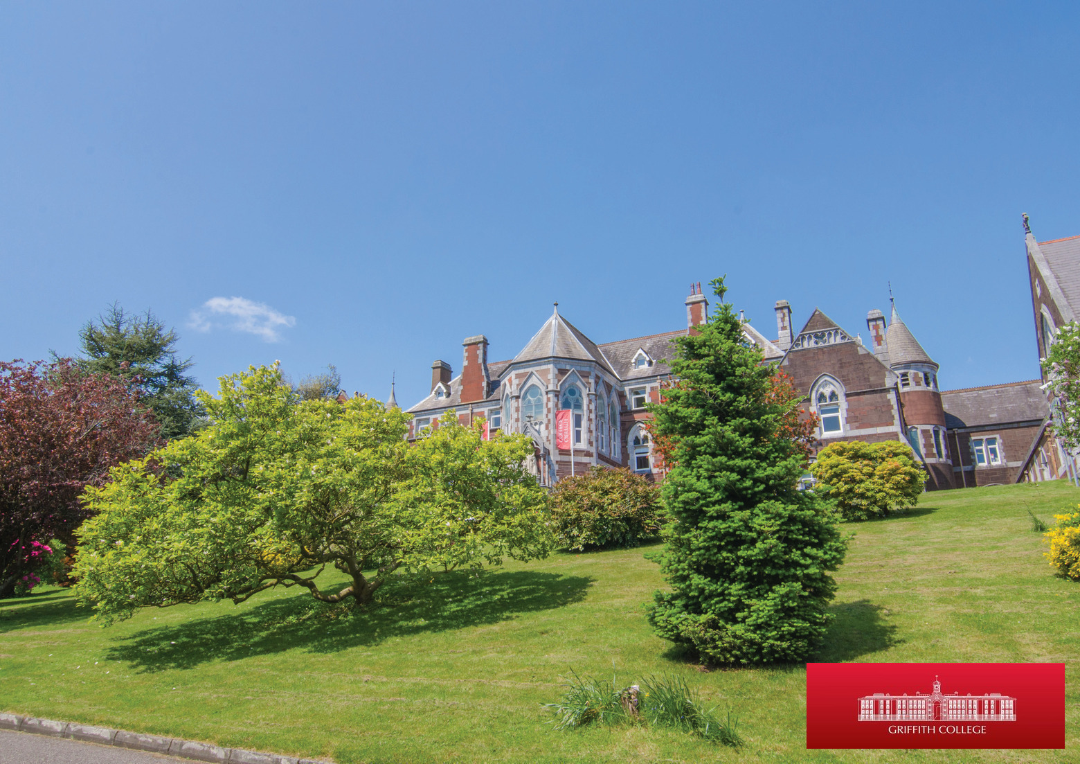 Course Image Business-Staff Info-Cork