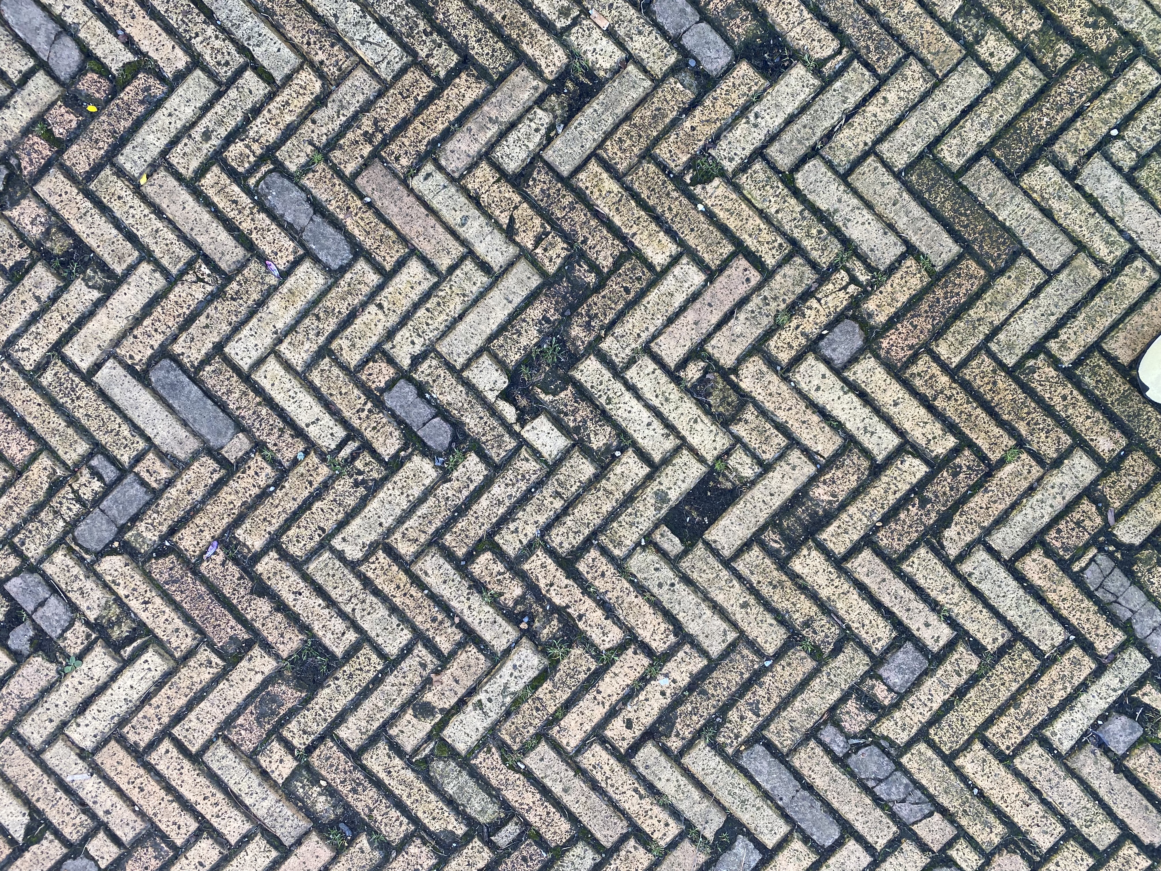 Course Image Conservation and Interior Environments [BAIAH-CIE/Dub/FT]