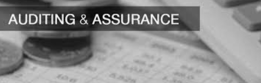 Course Image Audit and Assurance [BAAFH-AA/Dub/PT]