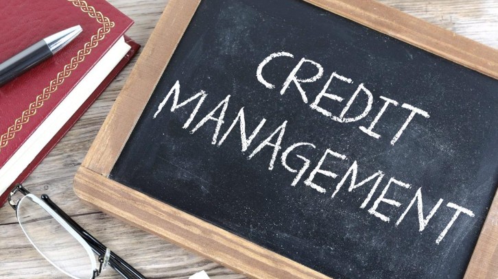 Course Image Credit Management & Debt Collection [PDCMD-CMDC/Dub/OL]