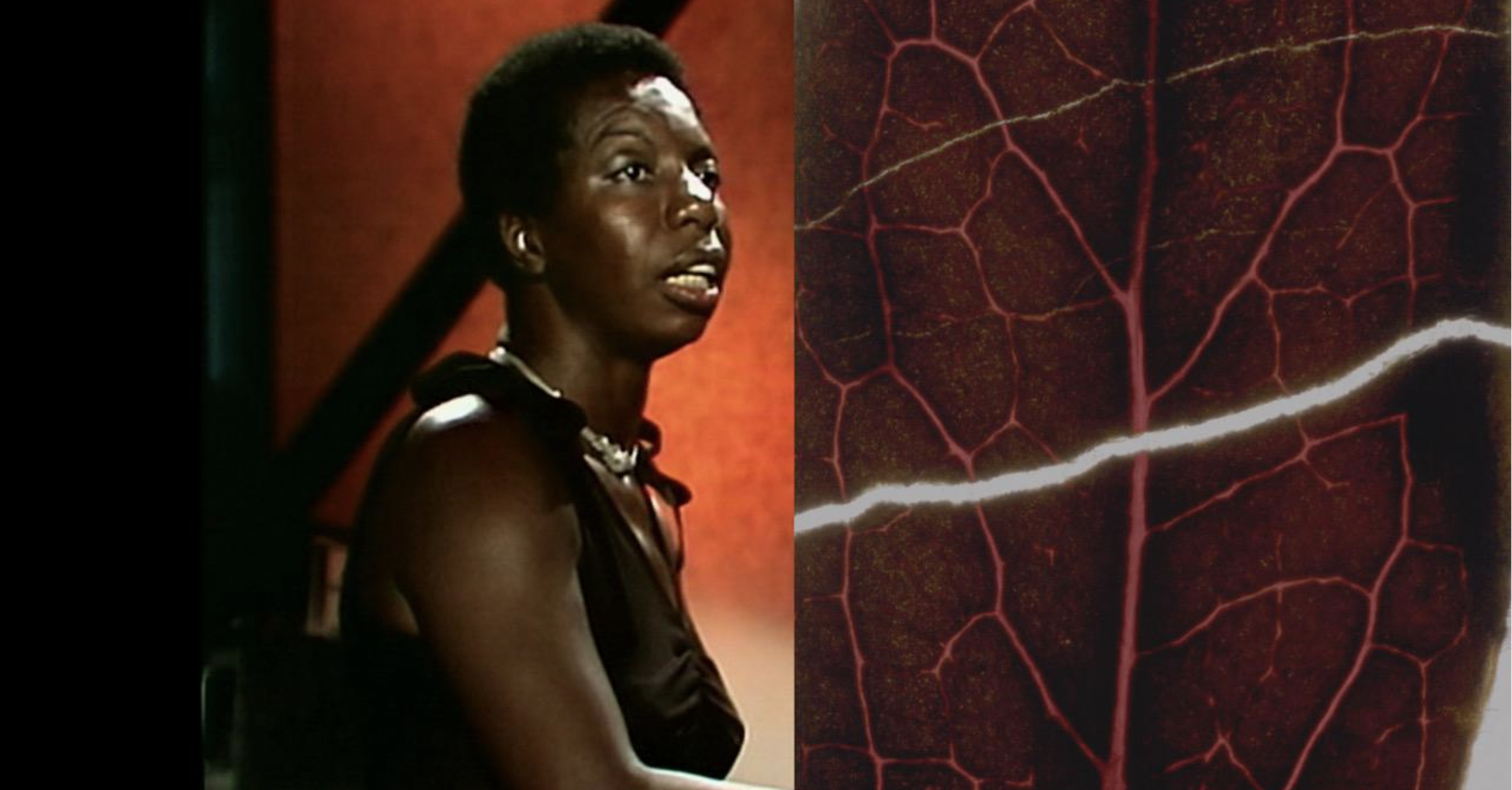 Course Image The Politics of the Image [BAPO-PI/Dub/PT]