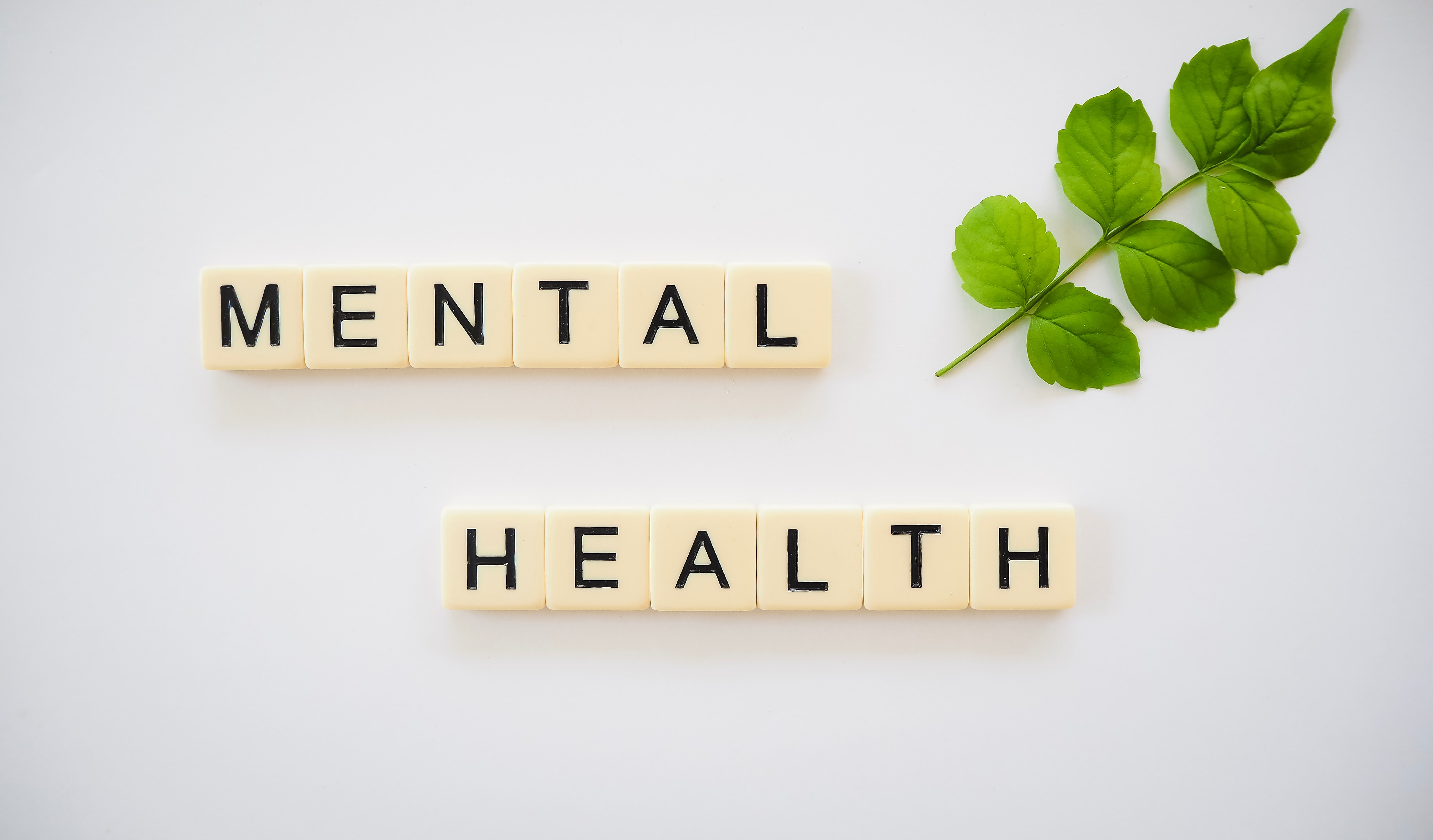 Course Image Introduction to Mental Health [HCHSP-IMH/Dub/FT/CT004]