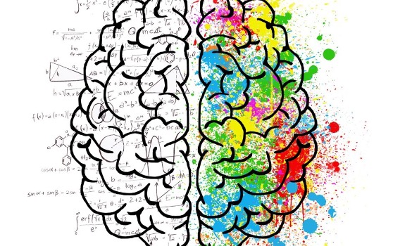 Course Image Psychology of Learning [MAELD-PL/Dub/PT]