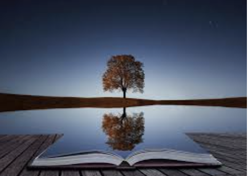 Course Image Research Methods [MAELD-RM/Dub/PT]