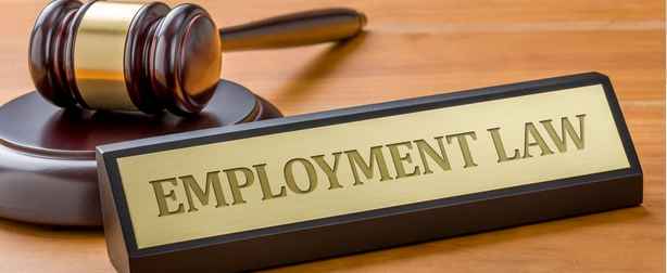 Course Image Employment Law [LLBH-EL/Cork/PT]