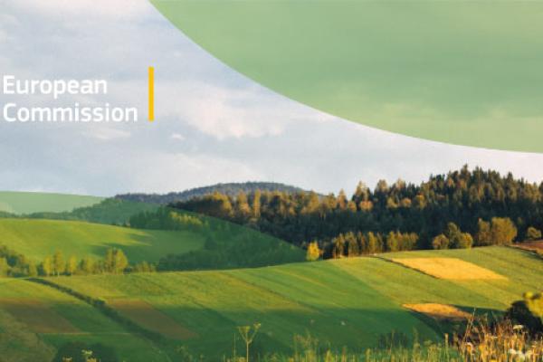 Course Image Fostering Sustainable Practices [MSPSM-FSP/Dub/FT]