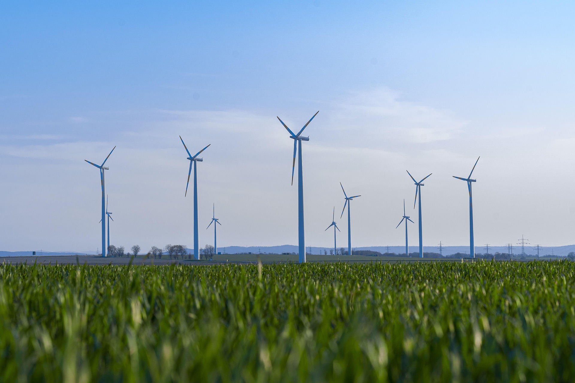 Course Image Fostering Sustainable Practices [MSPSM-FSP/Lim/FT]