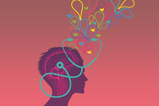 Course Image Cognitive Psychology 1 [BAHP-CP1/Dub/FT]