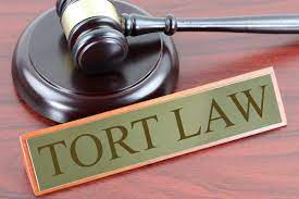 Course Image Law of Torts Revision [LSI-LT-R/Dub/OL]